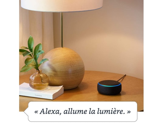 Amazon Echo et Echo Dot : les enceintes connectées sont enfin
