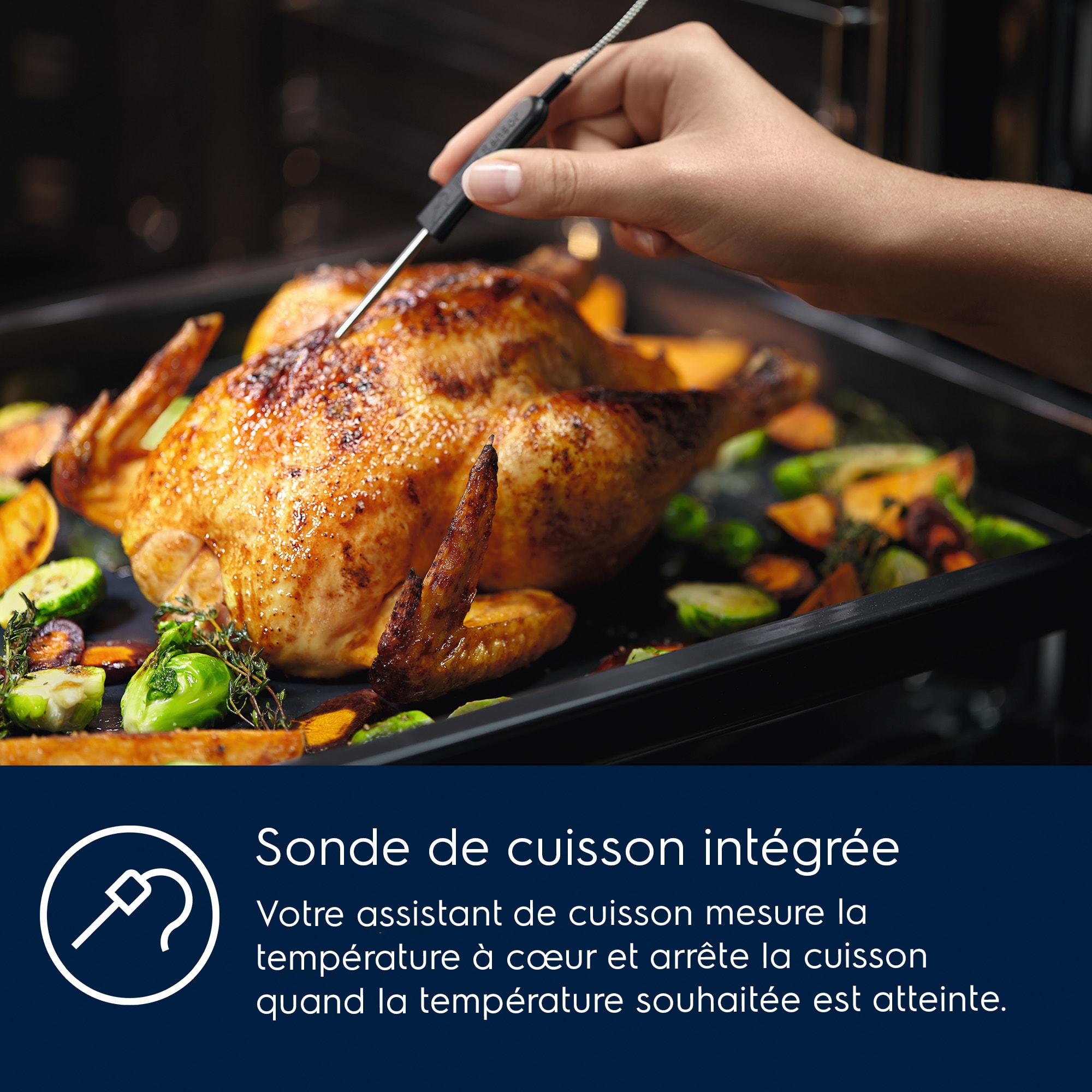 ELECTROLUX EOC8P39X Four Vapeur | promo et prix