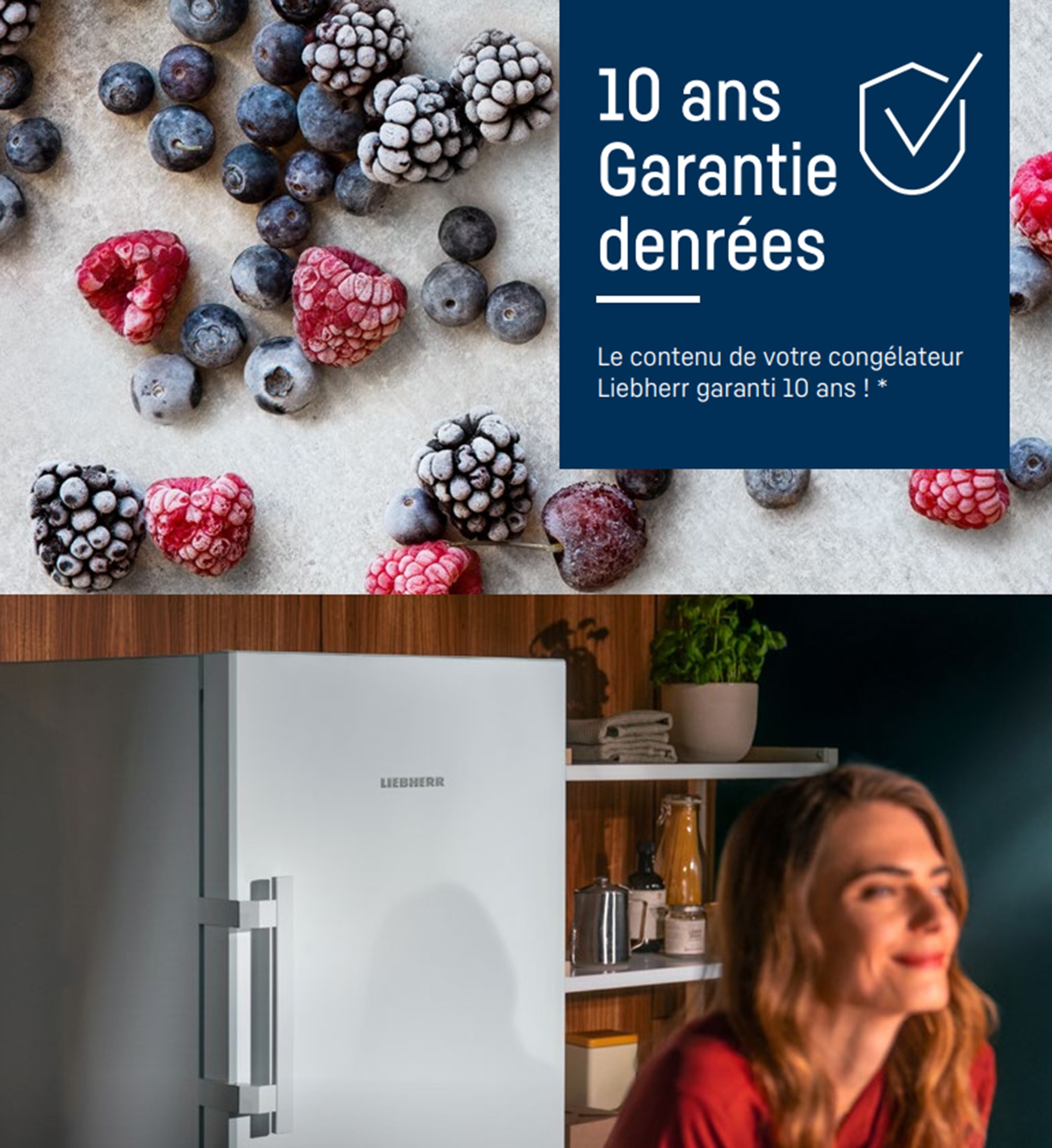 Congelateur Top Pas Chernull