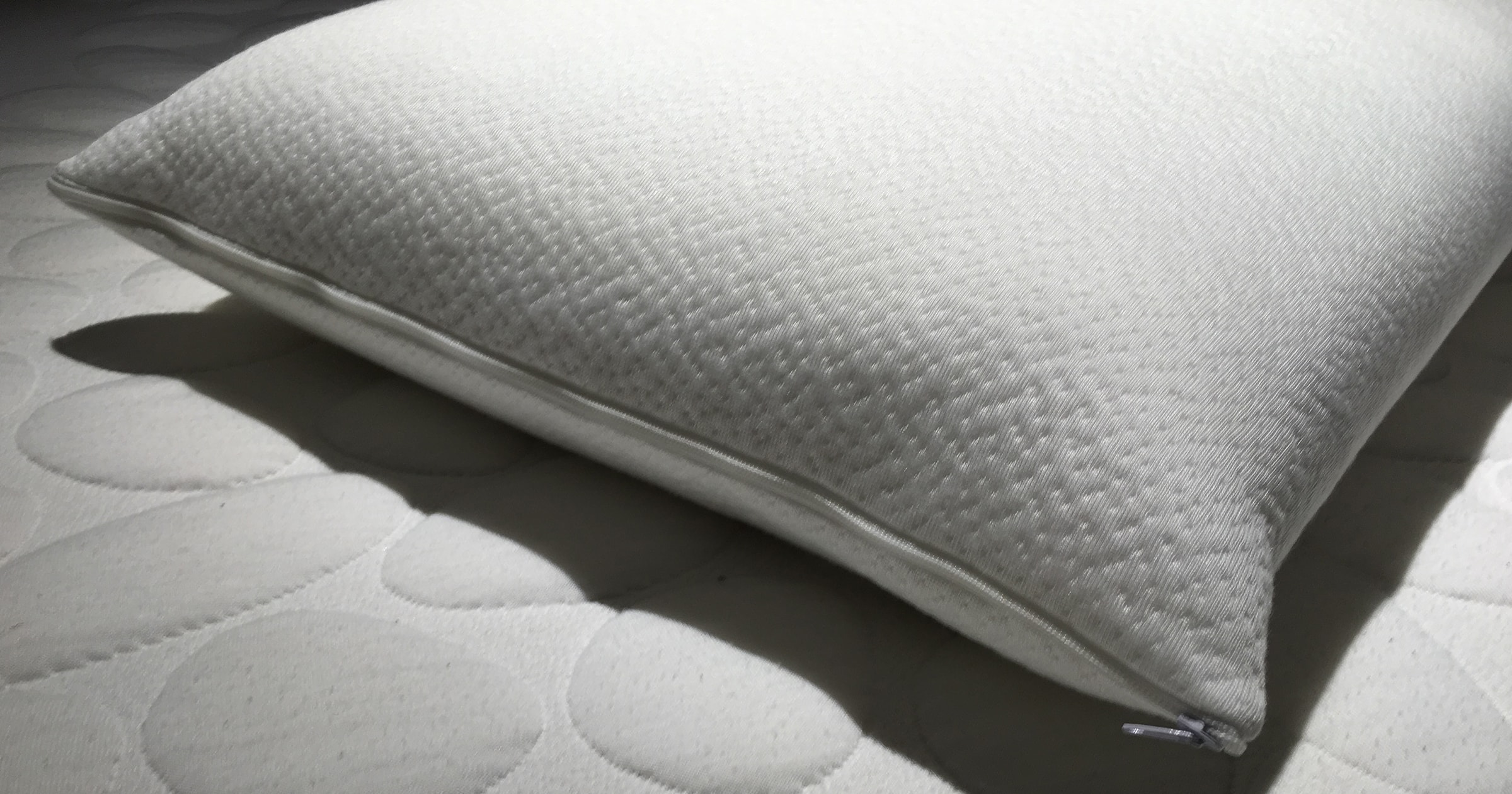 Oreiller rectangle CONCEPT1 Forme oreiller 60x40cm Pas Cher — free download